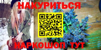 индика Лесосибирск