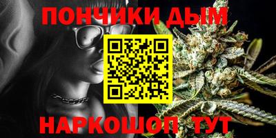 индика Лесосибирск