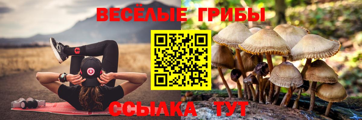 Галлюциногенные грибы Psilocybine cubensis  Вход с VPN  Ипатово 